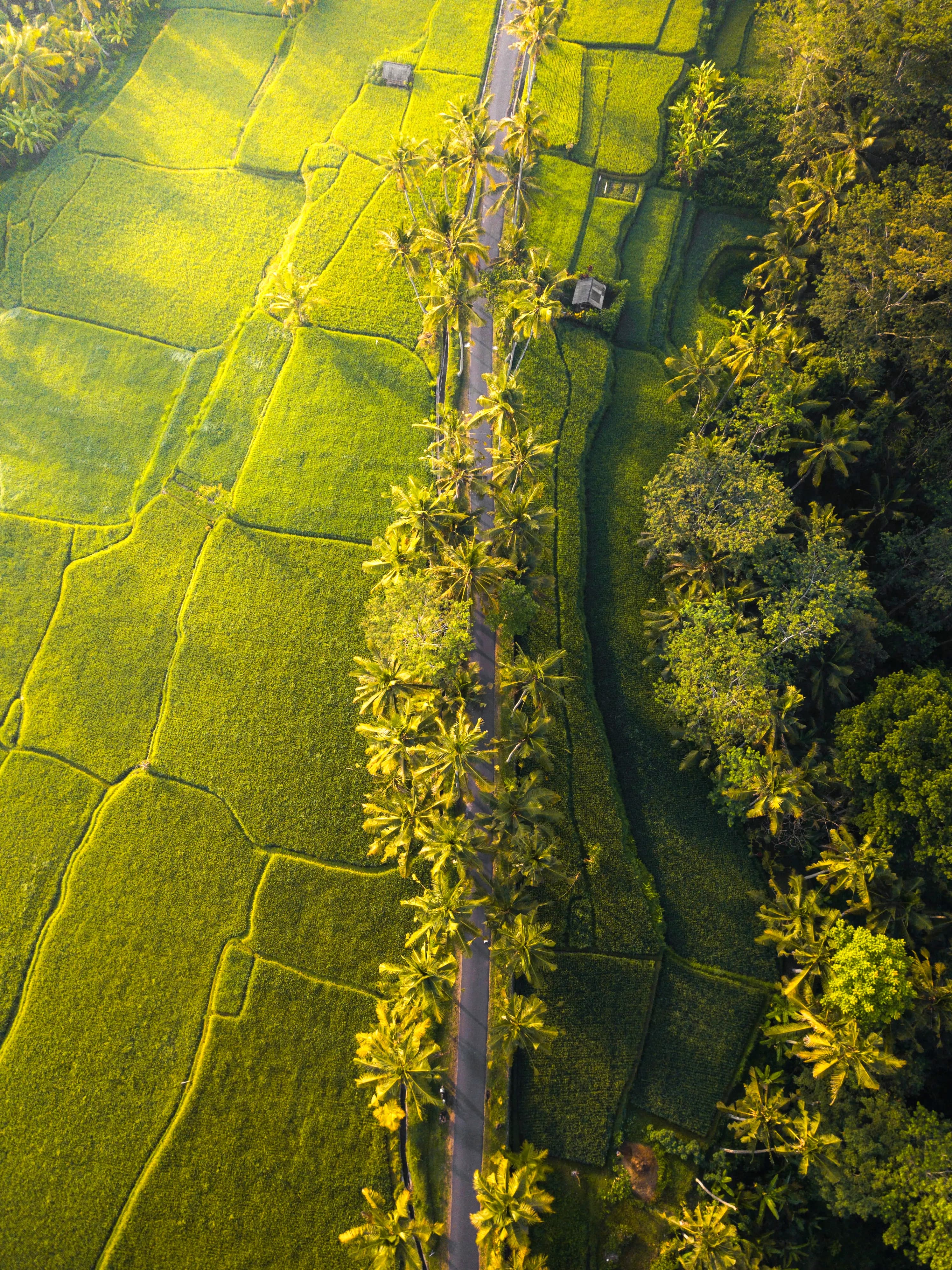 Scenic Sri Lankan landscape with mountains and traditional architecture